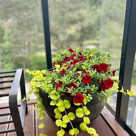 Mielno Enklawa 28 Unieście