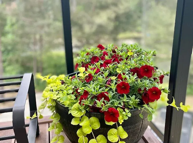 Mielno Enklawa 28 Unieście